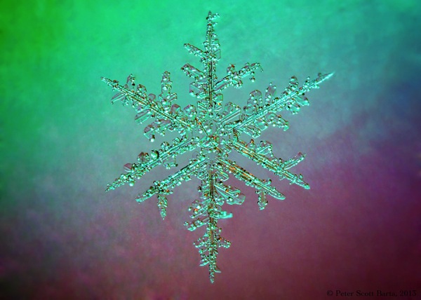 a_snowflake-124_16x12