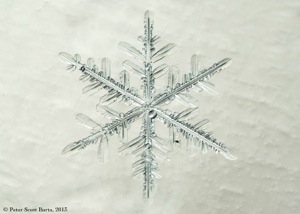 a_snowflake-180