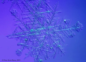 a_snowflake-207_b