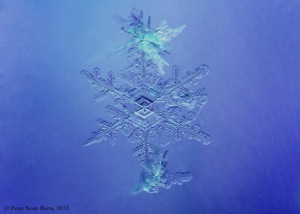 a_snowflake-229_b