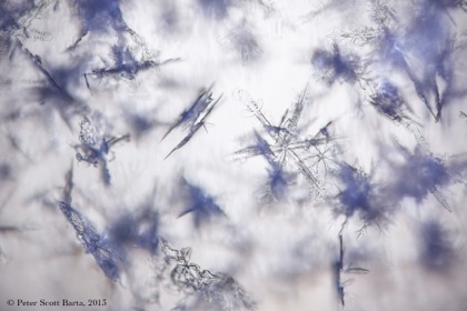 a_snowflake-291