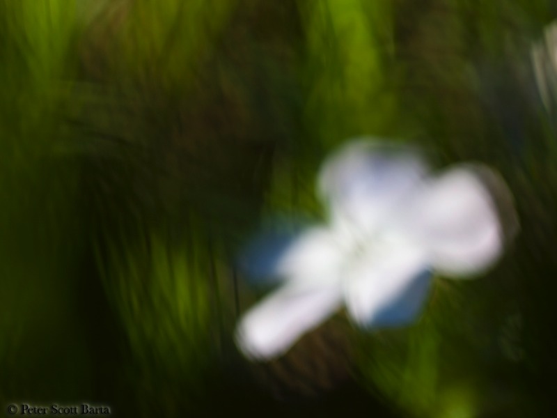 Stacks Image 855