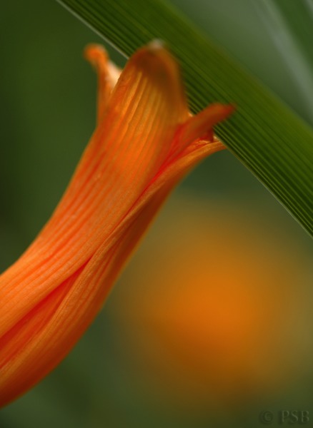 Stacks Image 865
