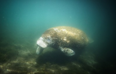 Stacks Image 116