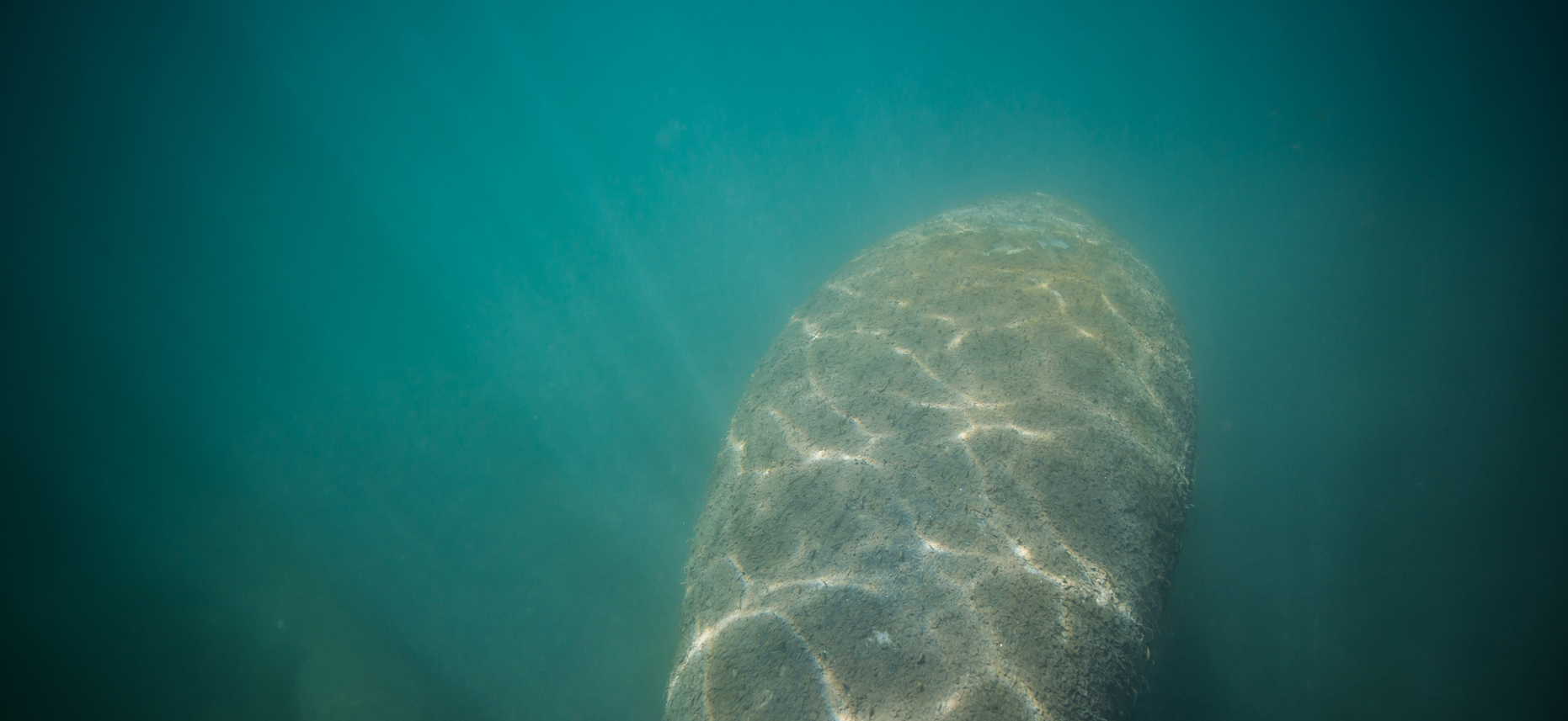 Stacks Image 753